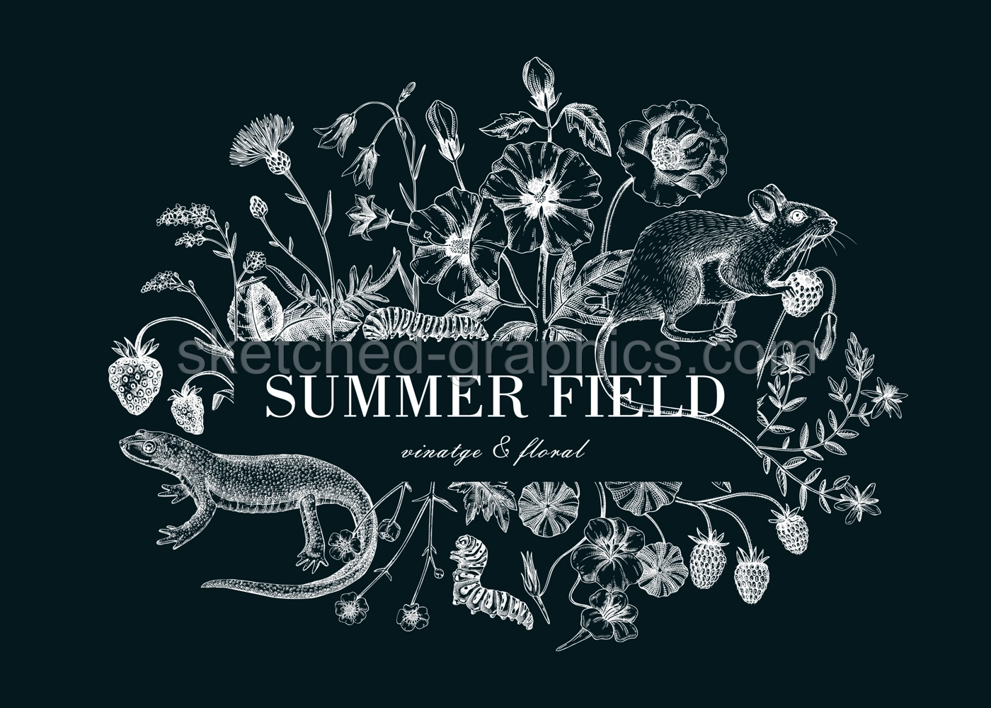 Vintage summer background. Floral frame design. Wildlife sketches. Wildflowers, meadows, herbs botanical illustration. Hand-drawn field flowers, birds, animals. Retro style invitation, frame, card. Illustration
